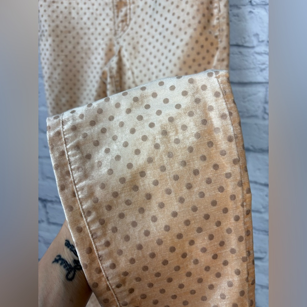 Anthropologie Pilcro Velvet Polka Dot High-Rise Skinny Ankle size 29 - Picture 4 of 8